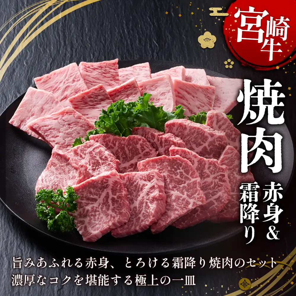 【宮崎牛】焼肉 赤身（ウデ又はモモ）＆霜降り（肩ロース又はロース） 400g(各200g×1P 計2P) 真空パック 冷凍