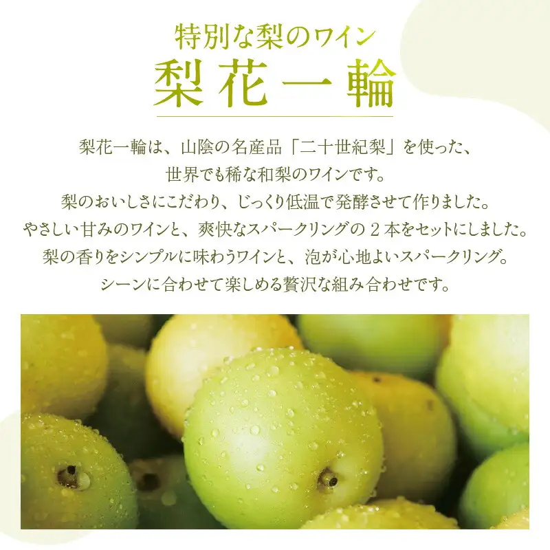 【お中元☆ 外熨斗対応可能】梨のワインセット 梨花一輪360ml×1本 梨のスパ－クリングワイン360ml×1本 常温 二十世紀梨 お酒 洋酒 16-24-01