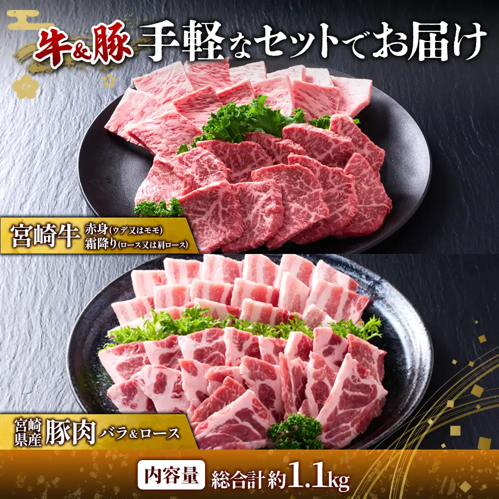 【宮崎牛・豚】焼肉食べ比べ 1.1kg (牛400g/豚700g) 真空パック 冷凍 小分け