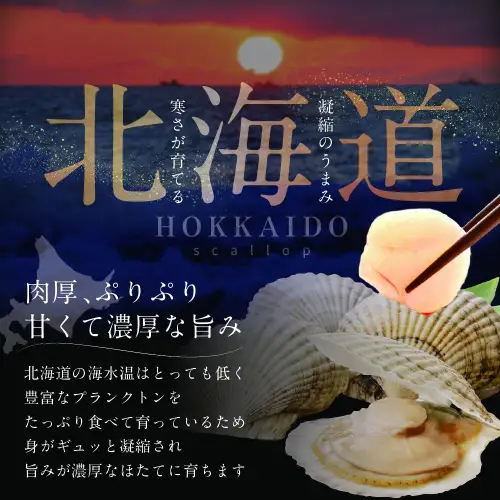 訳あり 32粒 前後 北海道産 冷凍 ホタテ 800g【MT000TH05】（ ほたて ほたて貝柱 ホタテ貝柱 帆立）