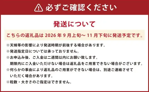 【数量限定】【先行予約】国産レモン 約 8kg 果物 くだもの フルーツ 檸檬 れもん レモン 常温 熊本 熊本市【2026年9月上旬～11月下旬発送予定】