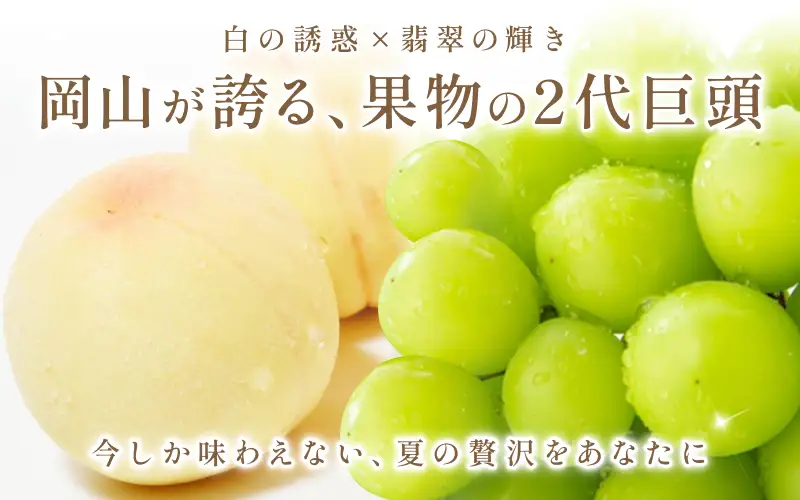 【2026年先行予約】シャインマスカット＆白桃 詰め合わせ 約3kg 岡山県産 フルーツセット ぶどう 桃 8月中旬～9月中旬順次発送【hnds012】