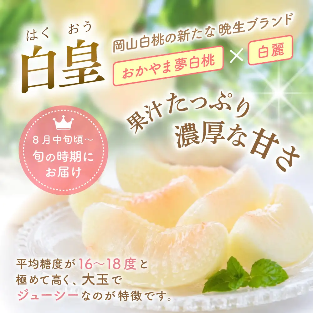 【2026年先行予約】白皇 白桃 2kg 贈答用 化粧箱入り はくおう 【8月中旬～9月初旬頃順次発送】【hnds005】