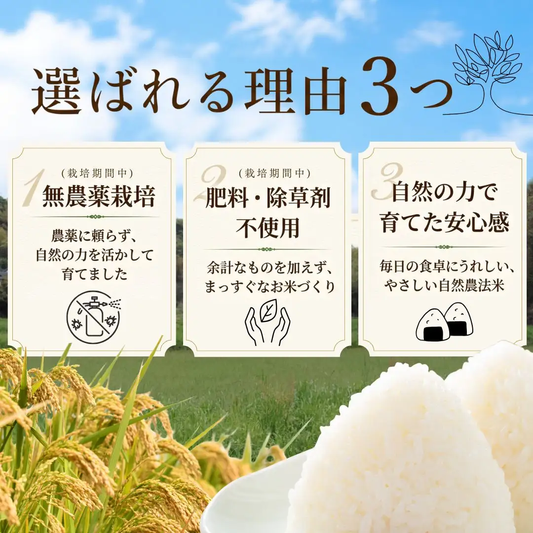 【大分県産】 自然農法 白米 5kg | 豊後高田市