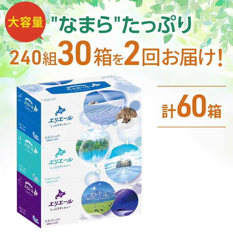 【2回お届け 計60箱】エリエール 北海道 しっとりティシュー なまらたっぷり 240組3箱 10パック ふるさと納税限定デザイン ボックスティシュー 箱ティッシュ ペーパー 備蓄品 花粉 保湿成分 グリセリン配合