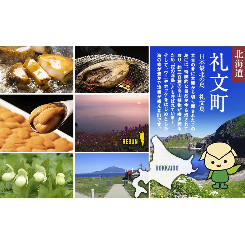 北海道 礼文島産 利尻昆布の旨み 万能調味料2種セット 各1本 (醤油・つゆ 各500ml) ［船泊漁業協同組合］【 昆布 だし昆布 昆布しょうゆ 昆布つゆ  醤油 調味料 詰め合わせ セット 和食 贈答 ギフト 】