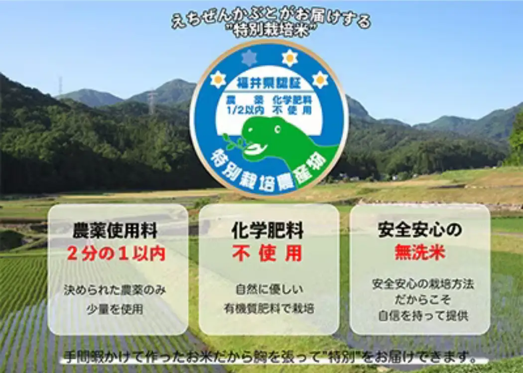 【先行予約】令和8年産 特別栽培米コシヒカリ 5kg×1袋（無洗米） 【2026年9月29日より順次発送】 [A-005011]
