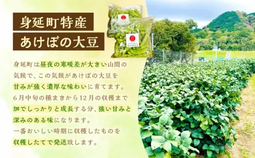 幻の大豆 身延町特産 あけぼの大豆 約300g × 2袋 × 2箱セット（ 合計4袋 約1.2kg ） 大豆 豆 豆類 甘み 枝豆 国産 山梨県産 国産大豆 幻 【2026年10月下旬から順次発送予定】