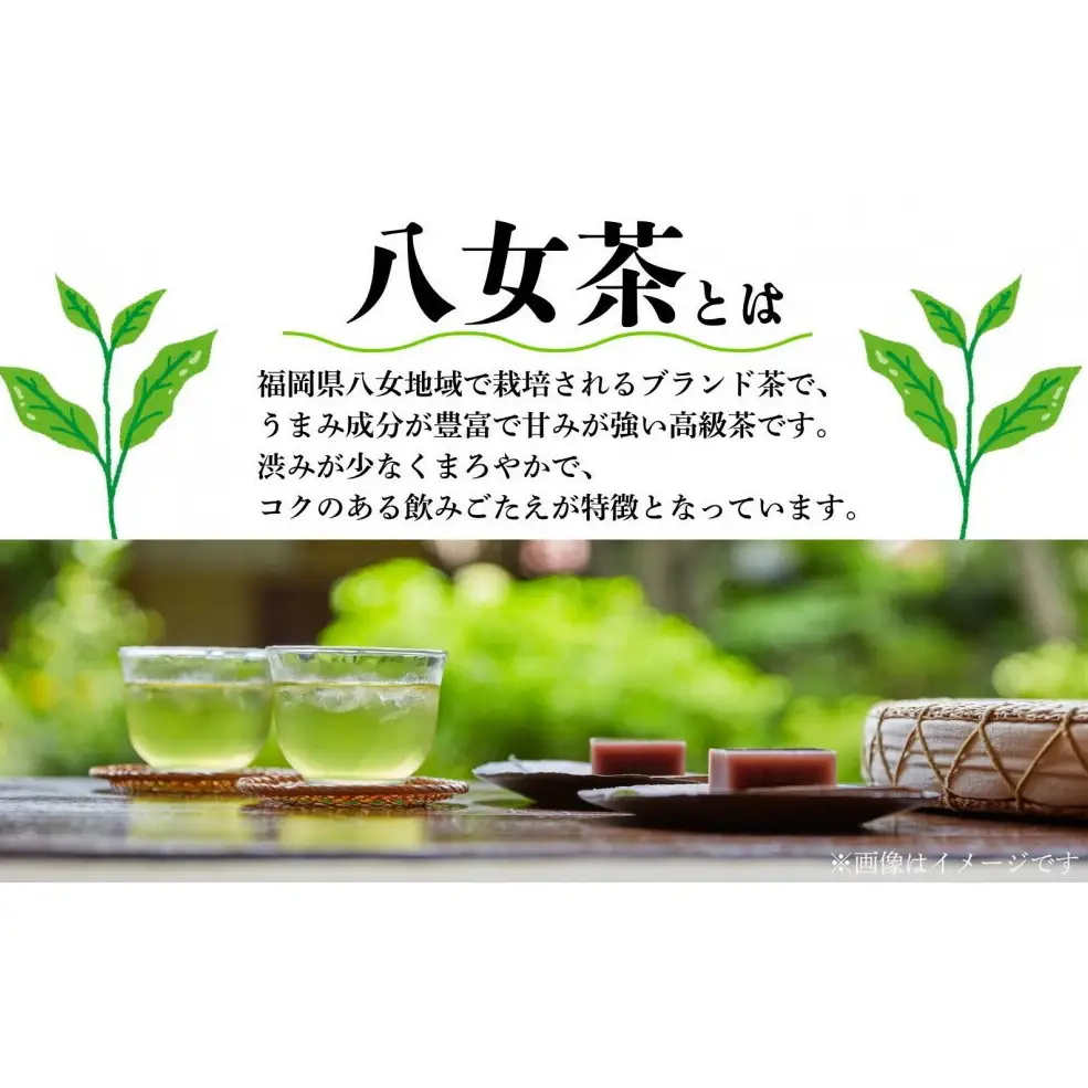 小野園　八女　煎茶（八女茶）綾歌×3パック