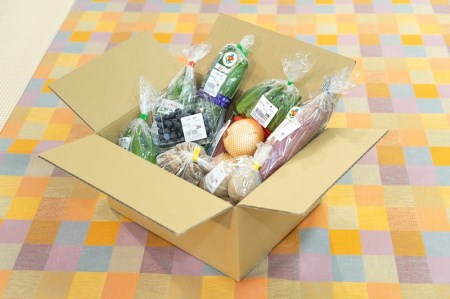【旬のお野菜詰め合わせセットＡ】農産物直売所「北はりま旬菜館」からお届け！(05-13) 詰合せ 野菜 セット 野菜 旬 生野菜