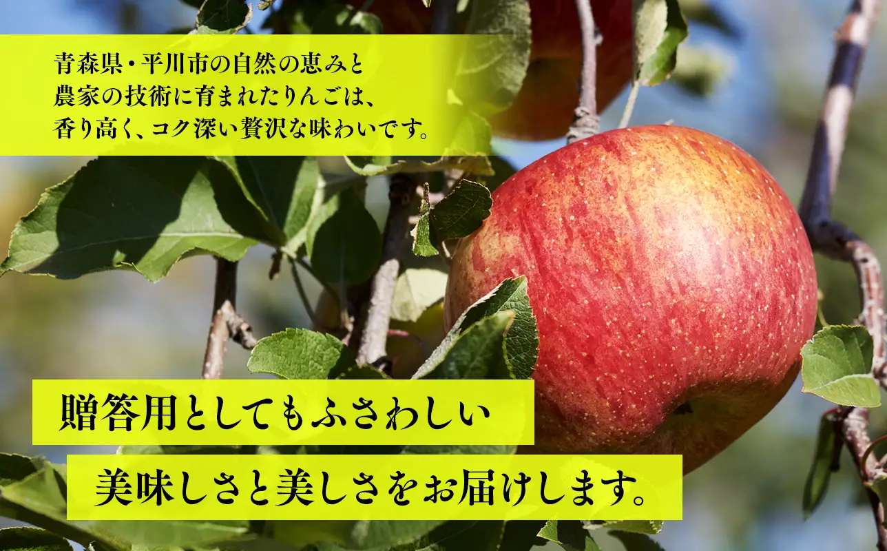 【11月下旬～順次発送】贈答用美丘5kg【今井農園】≪hi-0064-013≫