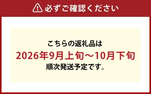 晴王 つる付きシャインマスカット 2房 （ 1房 580g以上 ） 露地栽培 シャインマスカット つる付き 香り くだもの 果物 果実 フルーツ ぶどう 葡萄 マスカット 国産 岡山県産 果汁 甘味 【 2026年9月上旬～10月下旬発送予定 】