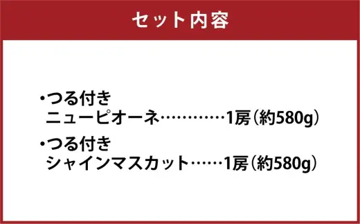 つる付き！ ニューピオーネ ＆ 晴王 シャインマスカット Aセット 露地栽培 ブドウ ぶどう 葡萄 果物 くだもの フルーツ 果実 マスカット 食べ比べ 【 2026年9月上旬～10月下旬発送予定 】
