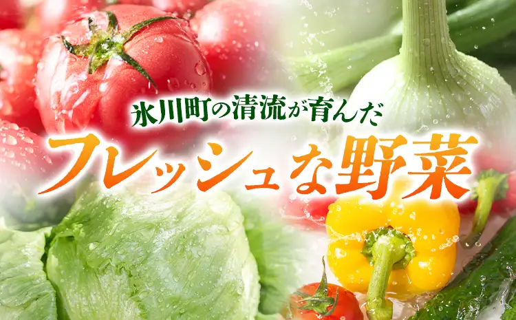 旬の野菜果物詰め合わせセット 5-7品 野菜