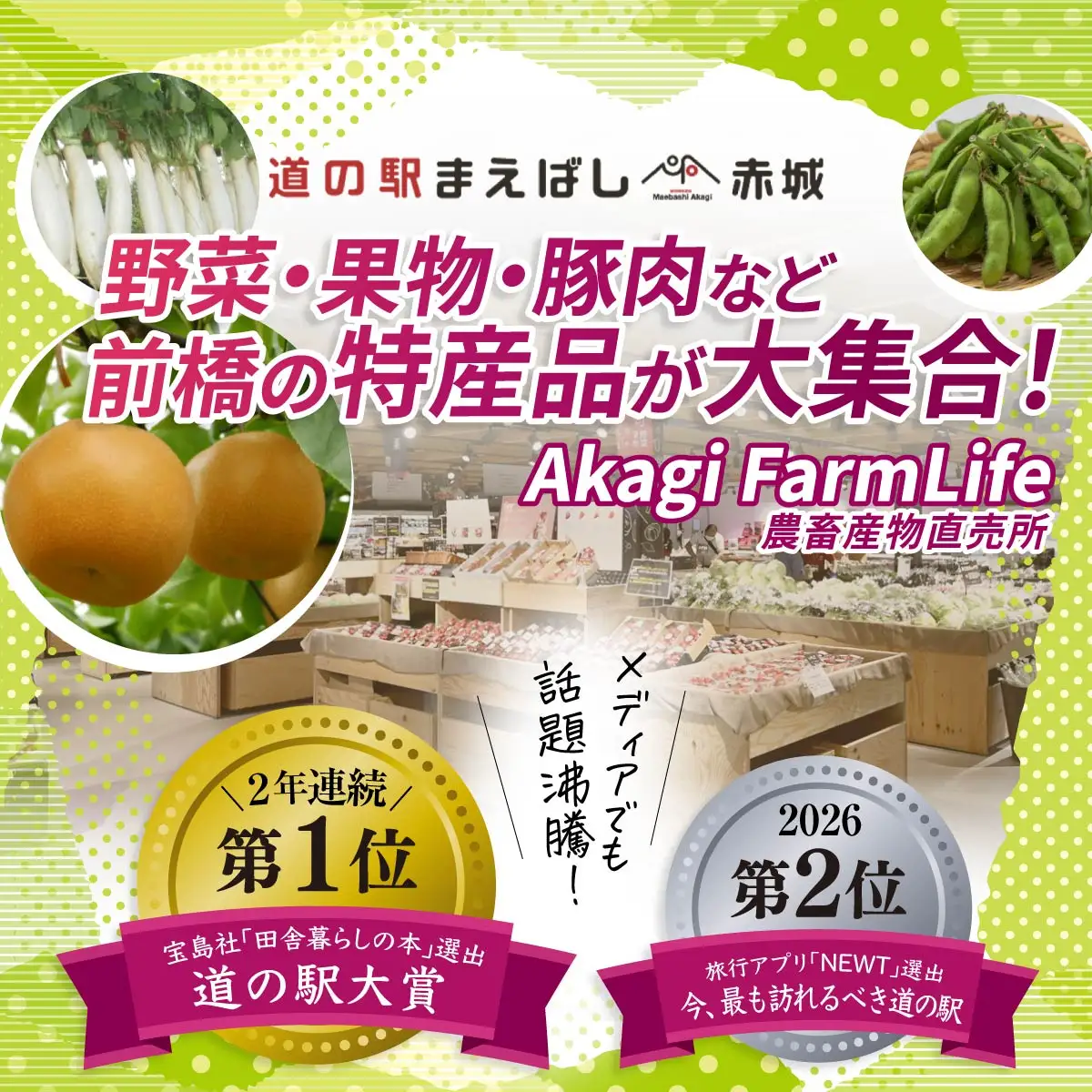 季節の旬の野菜 詰め合わせ 5~6品 | 野菜