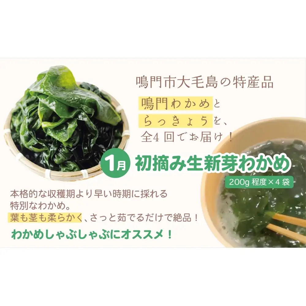 【全4回定期便】鳴門大毛島わかめ・らっきょうセット（1/3/5/7月）