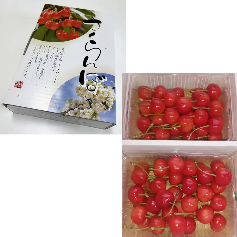 さくらんぼ(佐藤錦) 800g L以上 FY26-076