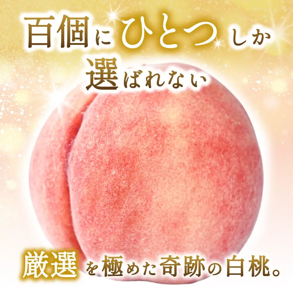 数量限定先行予約！川中島白桃　約2kg 6個入 100個に1個の特選最上級秀品！＜2026年7月末から8月末順次発送＞【BK-kgr036】