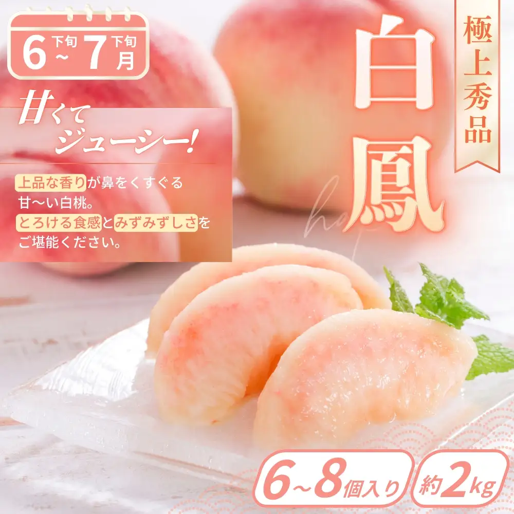 【定期便】桃好き必見！かつらぎの自慢の桃 白鳳＆川中島 食べ比べセット 各約2kg ～全2回お届け～ 【BK-kgr041】