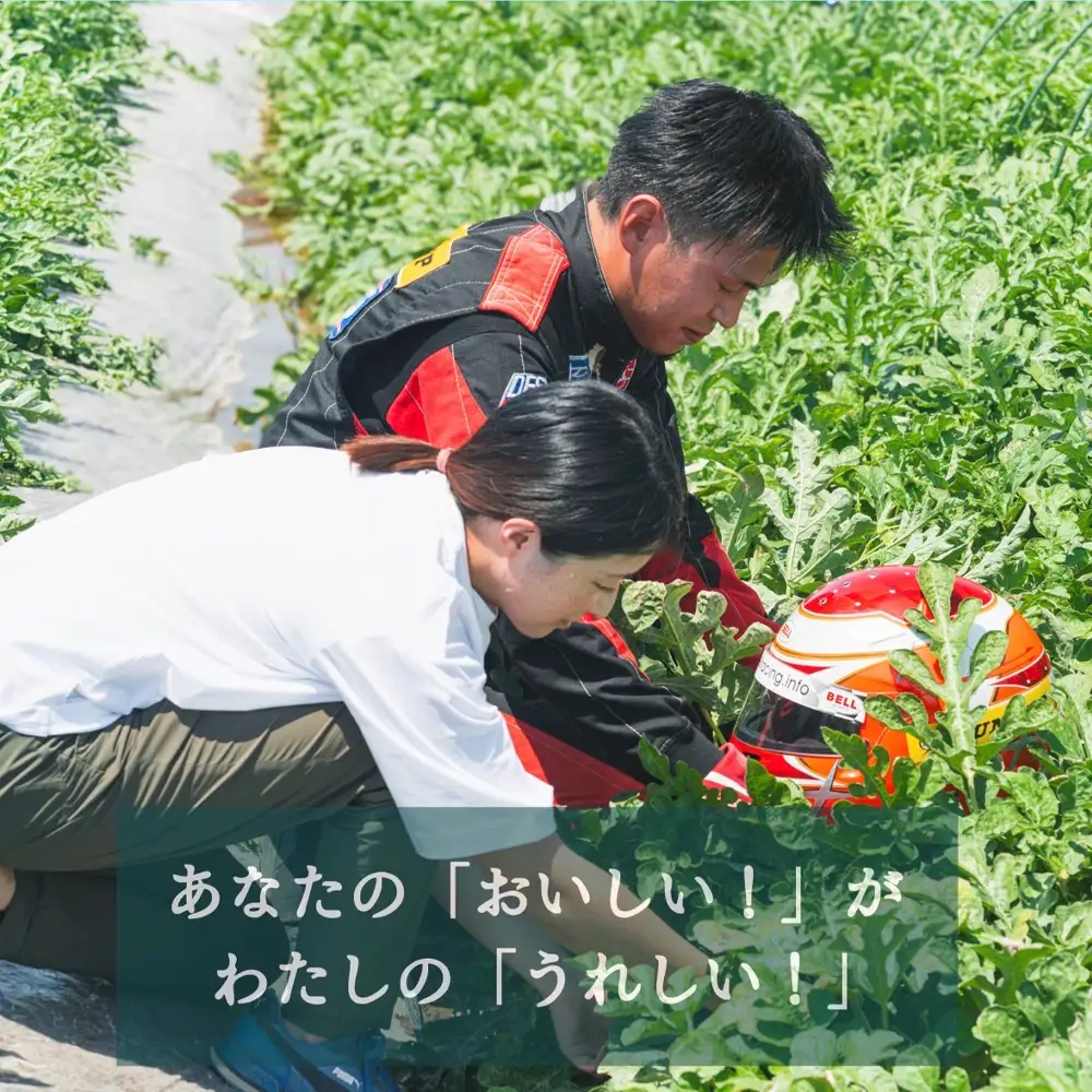 尾花沢プレミアすいか 祭りばやし777 大玉 4-5Lサイズ(約9~10kg) 1玉 令和8年産 nf-su45m1