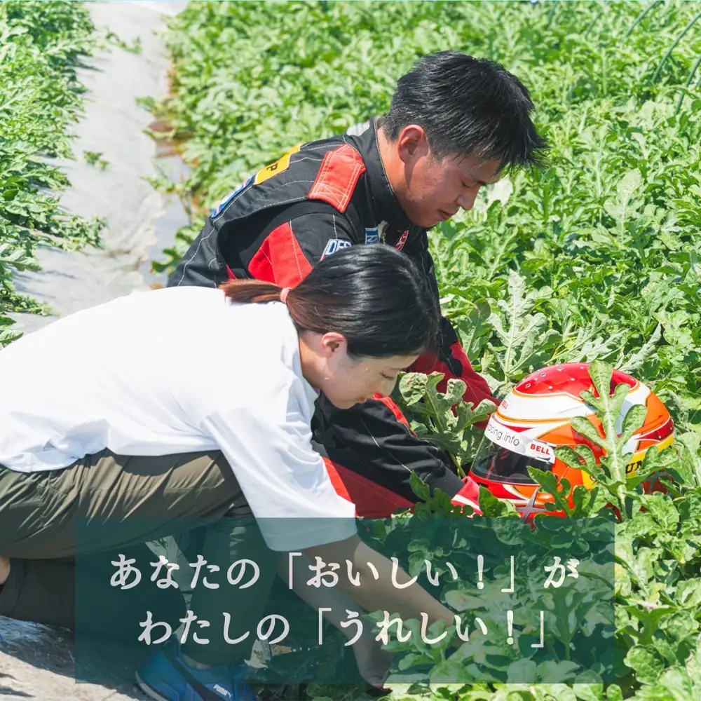 尾花沢プレミアすいか 祭りばやし777 大玉 6Lサイズ(約11kg~)  1玉 令和8年産 nf-su6xm1