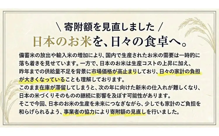 【12ヶ月定期便】米 栃木県産 コシヒカリ 白米 10kg《お申込み翌月から出荷》栃木県 野木町 米 白米 精米 国産 お米 おこめ お弁当 おにぎり【栃木県共通返礼品】