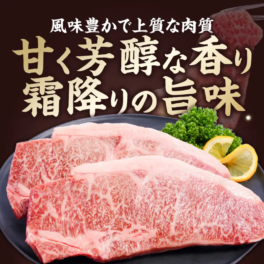 宮崎牛ロースステーキ2枚(450g)〔14H-84-012-2〕