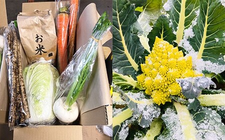 西会津野菜セット定期便（小）5回 F4D-1405