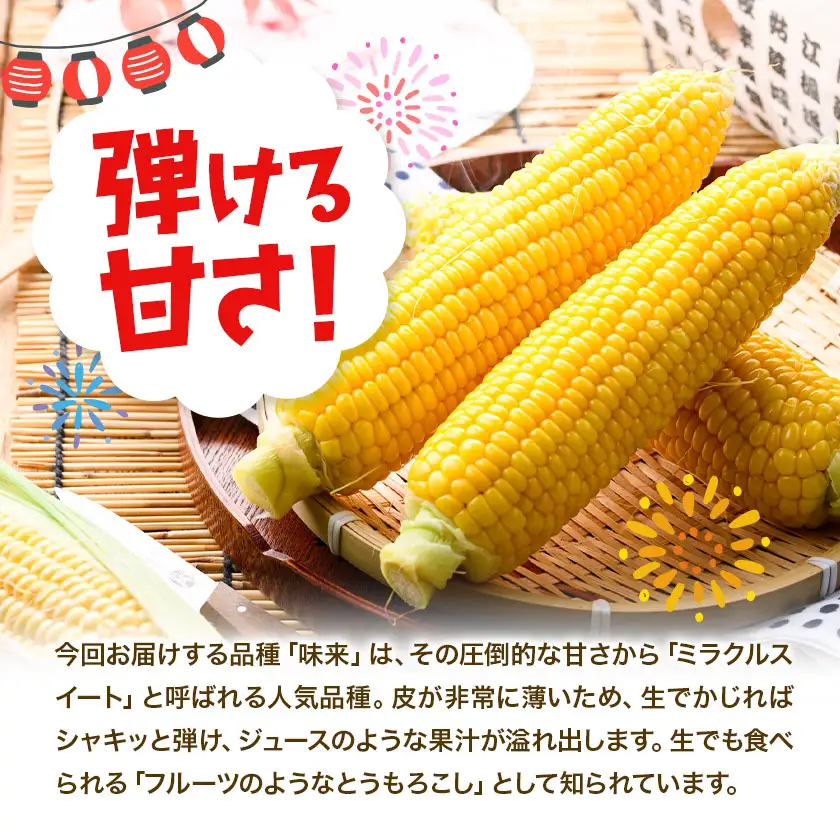 とうもろこし味来 夏祭り 約10kg 野菜 トウモロコシ