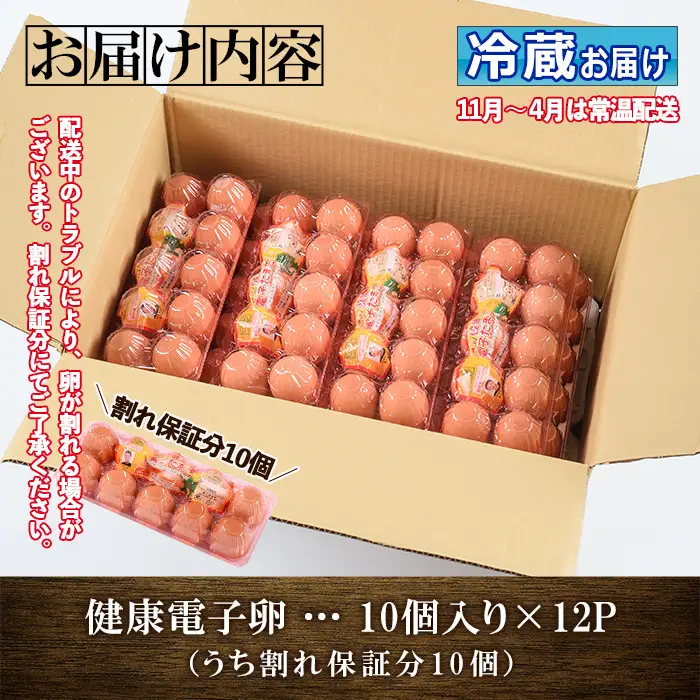 【お中元】たまご　12パック 120個入り　健康電子たまご　(内10個 宅配破損時 保証卵付) 【00-095-04-R8OC】