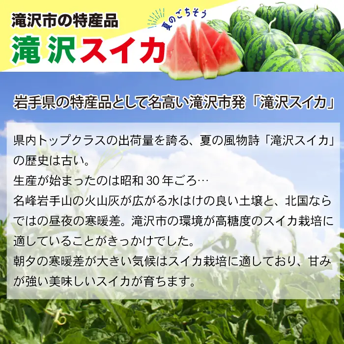 【 先行予約 2026年 8月 発送】 チャグチャグスイカ 2L 7kg 以上 1玉 【駿河農園ベジスル】 滝沢スイカ すいか スイカ 西瓜 1玉 １玉 ２L 大玉 夏 風物詩 定番 旬 フルーツ 果物 くだもの 人気 美味しい 甘い おすすめ オススメ 産地直送 国産 岩手県産 オススメ おすすめ