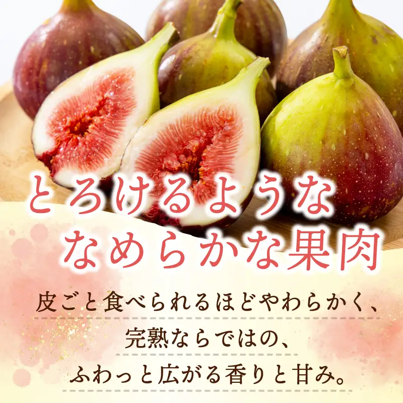 【先行予約】【農家直送】朝採り 完熟いちじく 700g以上