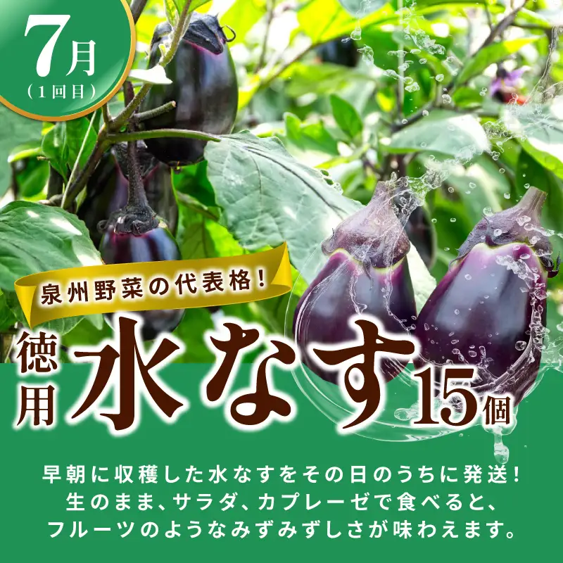 【定期便】泉州TONOファームが贈る定期便 野菜とフルーツの旬の味リレー