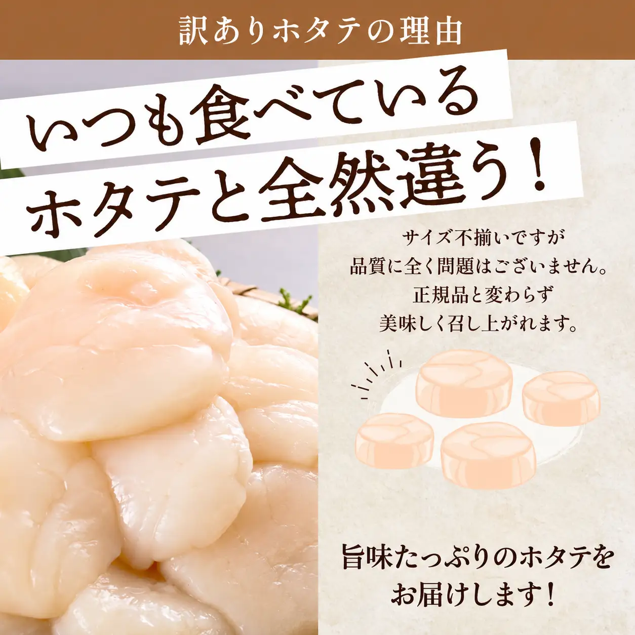 【訳あり】ホタテ貝柱 500g x 1ホタテ