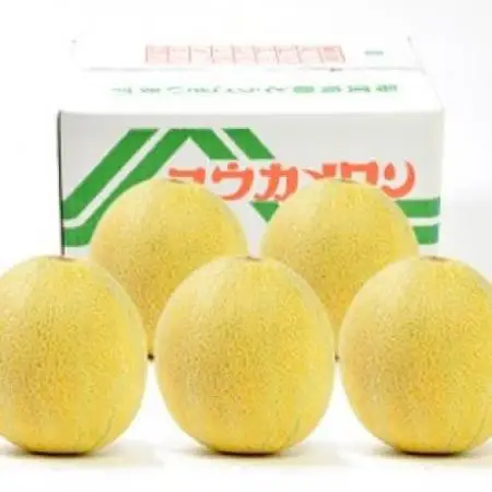 数量限定!こだわり農家さんの希少な優香メロン【3L×2】【配送不可地域：離島・北海道・沖縄県・東北】【1735421】