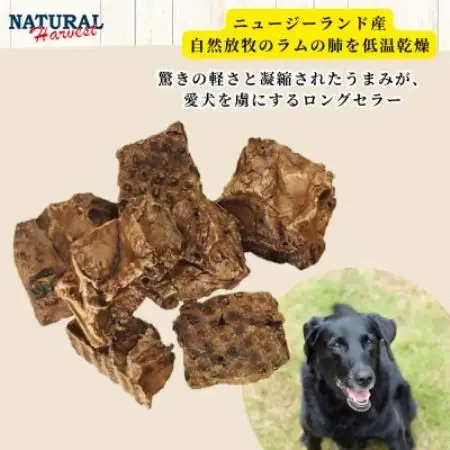 ドライドラムラング 計160g(80g×2袋)【1728465】