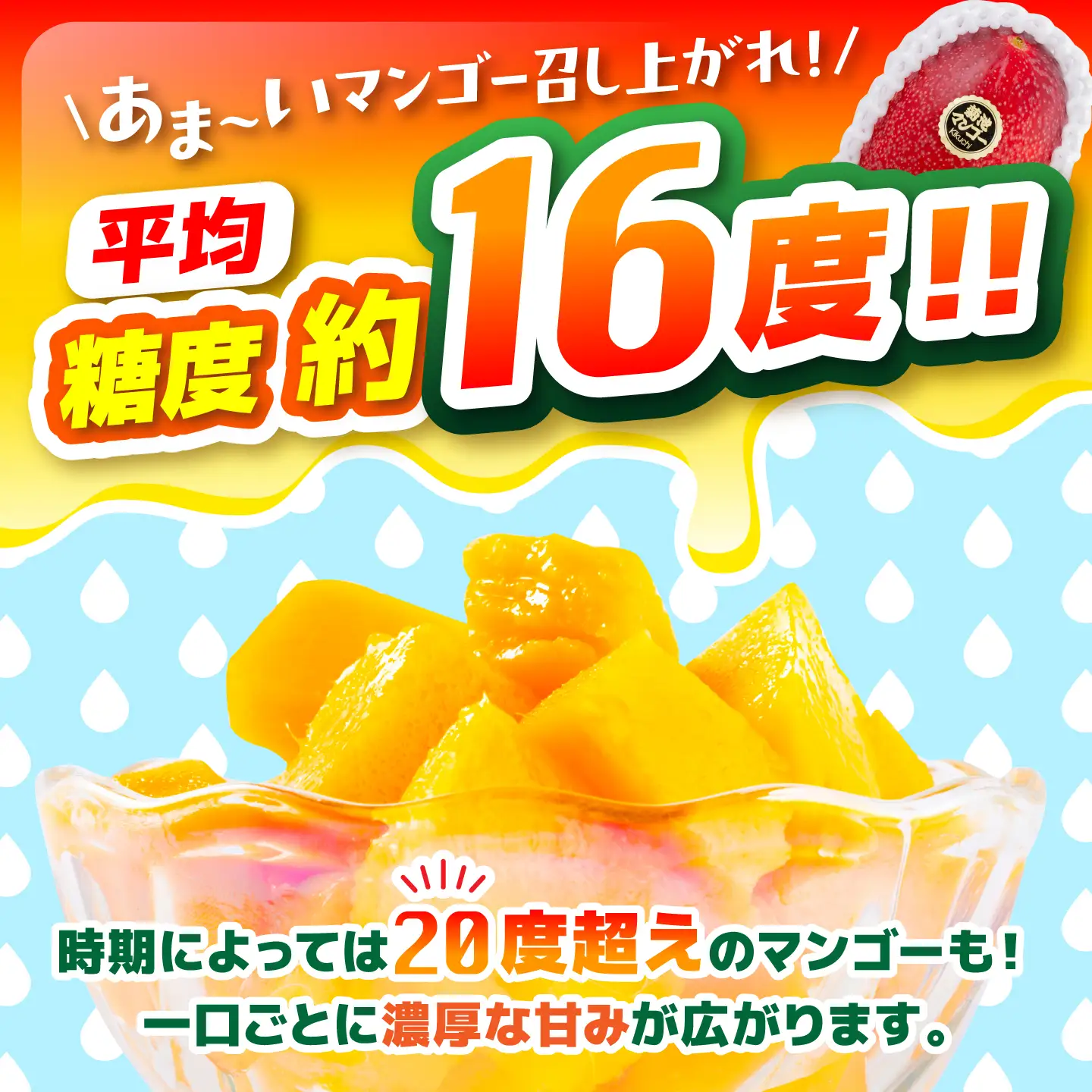 【2026年6月上旬から順次発送】菊池マンゴー3玉 4Lサイズ 青秀 友枝マンゴー農園[AYDF007]