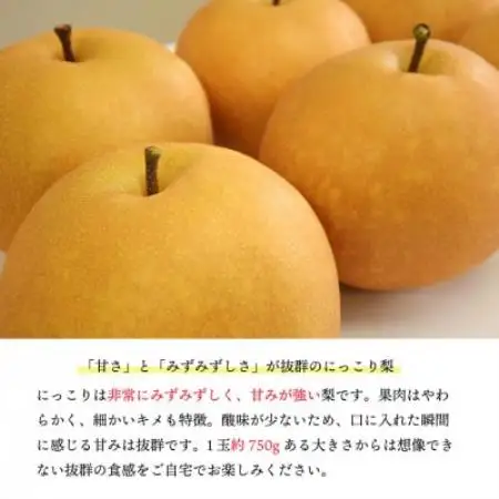 【桃沢晴香園】にっこり梨 約3kg(4玉)【1735867】