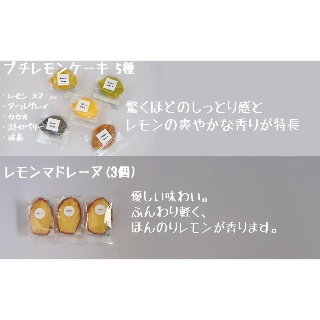 プチレモンケーキ5種6個＆レモンマドレーヌ3個 9個入り詰め合わせセット レモンケーキ マドレーヌ 焼き菓子 洋菓子 スイーツ 詰め合わせ セット アソート 個包装 ギフト