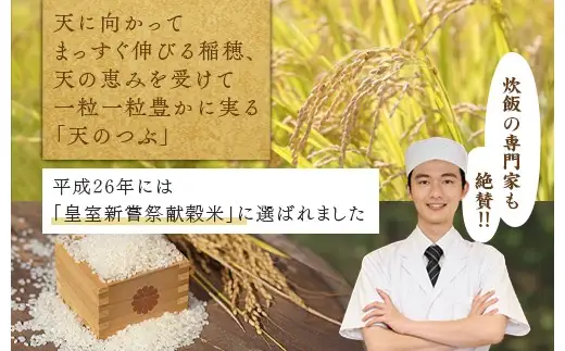 【令和8年産】【全2回定期便】米　国見町産　天のつぶ 5kg（5kg×1袋） 2回定期便 ※2026年10月～発送