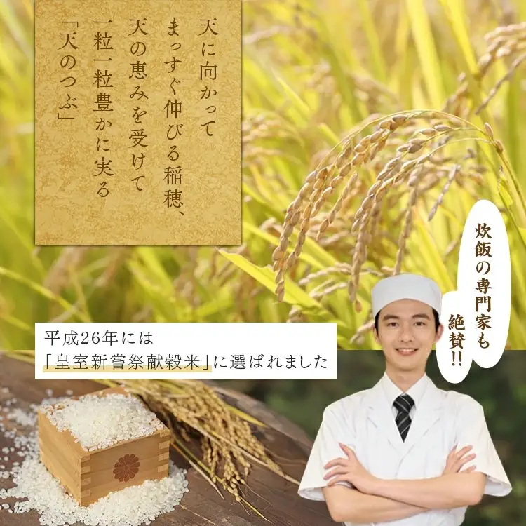 【令和8年産】【全2回定期便】米　 国見町産　天のつぶ 10kg（5kg×2袋） 2回定期便 ※2026年10月～発送