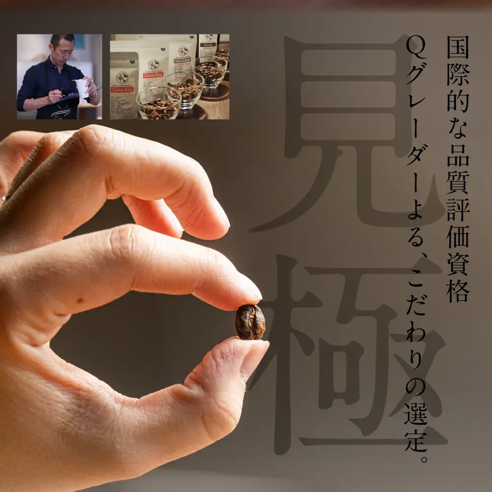 スペシャルティ 深煎り/中挽 300g 3種 コーヒー