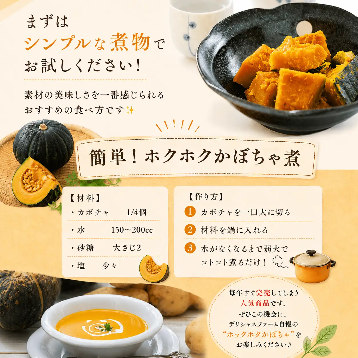 かぼちゃ 【デリシャスファームのかぼちゃ】ダークホース 4キロ ※6月頃より順次発送予定 / 産地直送 カボチャ 南瓜 【delf035】