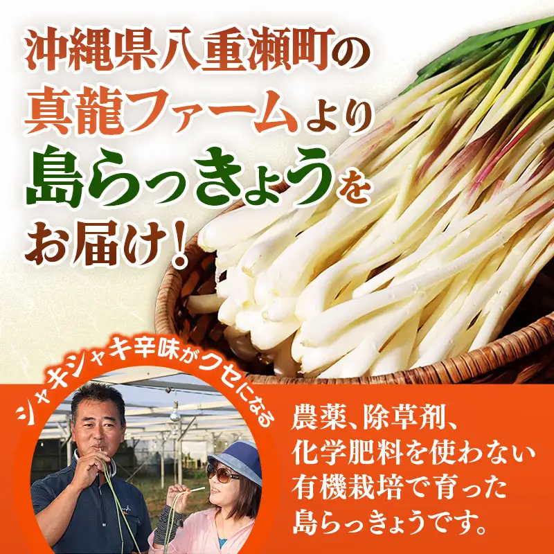 【先行受付】【2026年発送】沖縄県八重瀬町産 葉切り落とし 島らっきょう約1kg - 生らっきょう 国産 甘酢漬け 漬物 天ぷら チャンプルー 有機栽培 おすすめ 送料無料
