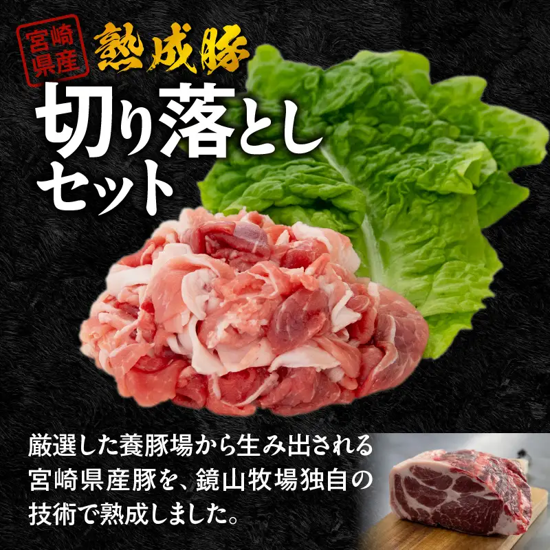 宮崎県産熟成豚 切り落としセット 約200g×5個 N0105-YA2280