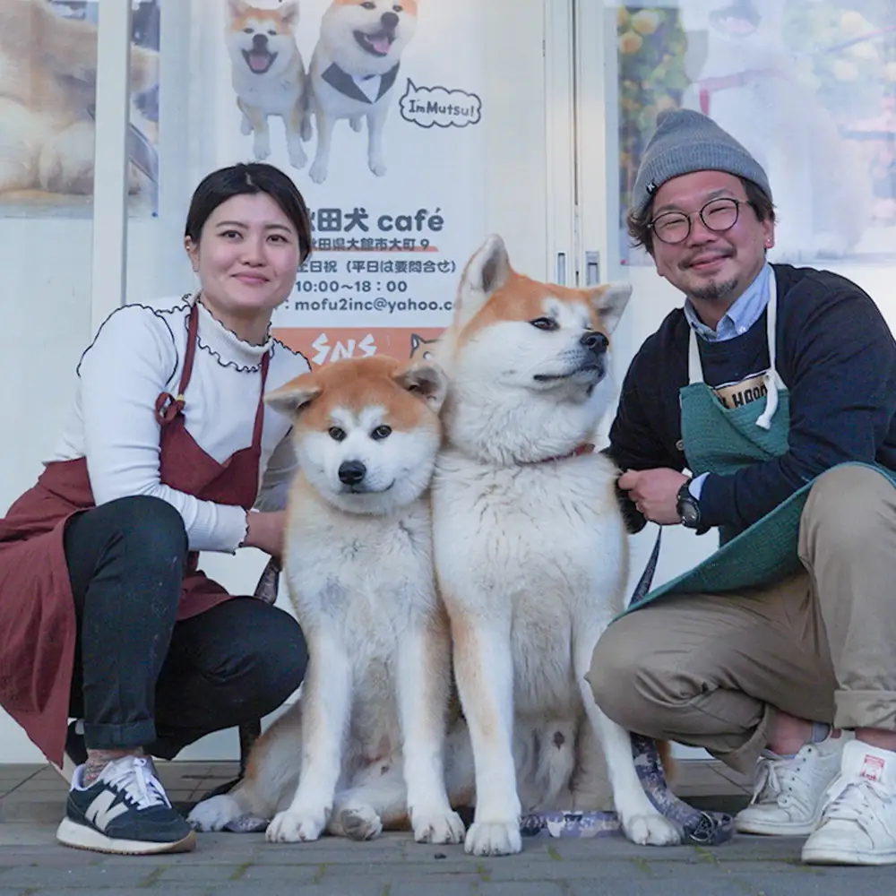 《大館駅発着》【手ぶらでOK！タクシー周遊】 ふるさとで秋田犬とモフモフな一日　大館秋田犬めぐり〈秋田犬の魅力再発見！2時間コース〉（2名分）【325P8401】