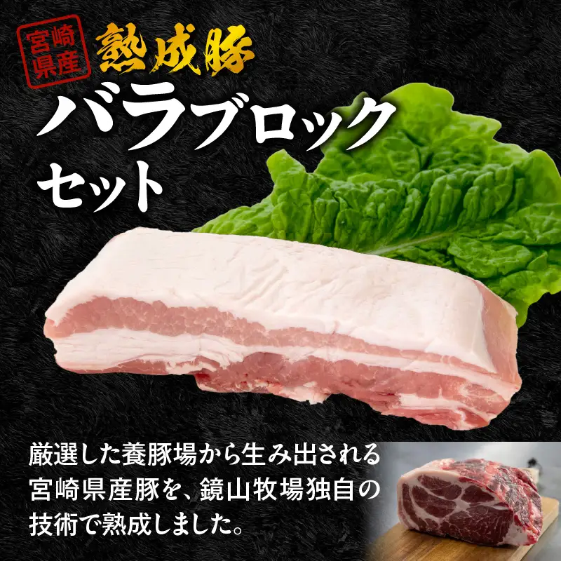 宮崎県産熟成豚 バラブロックセット 約350g×2個 N0105-YA6604