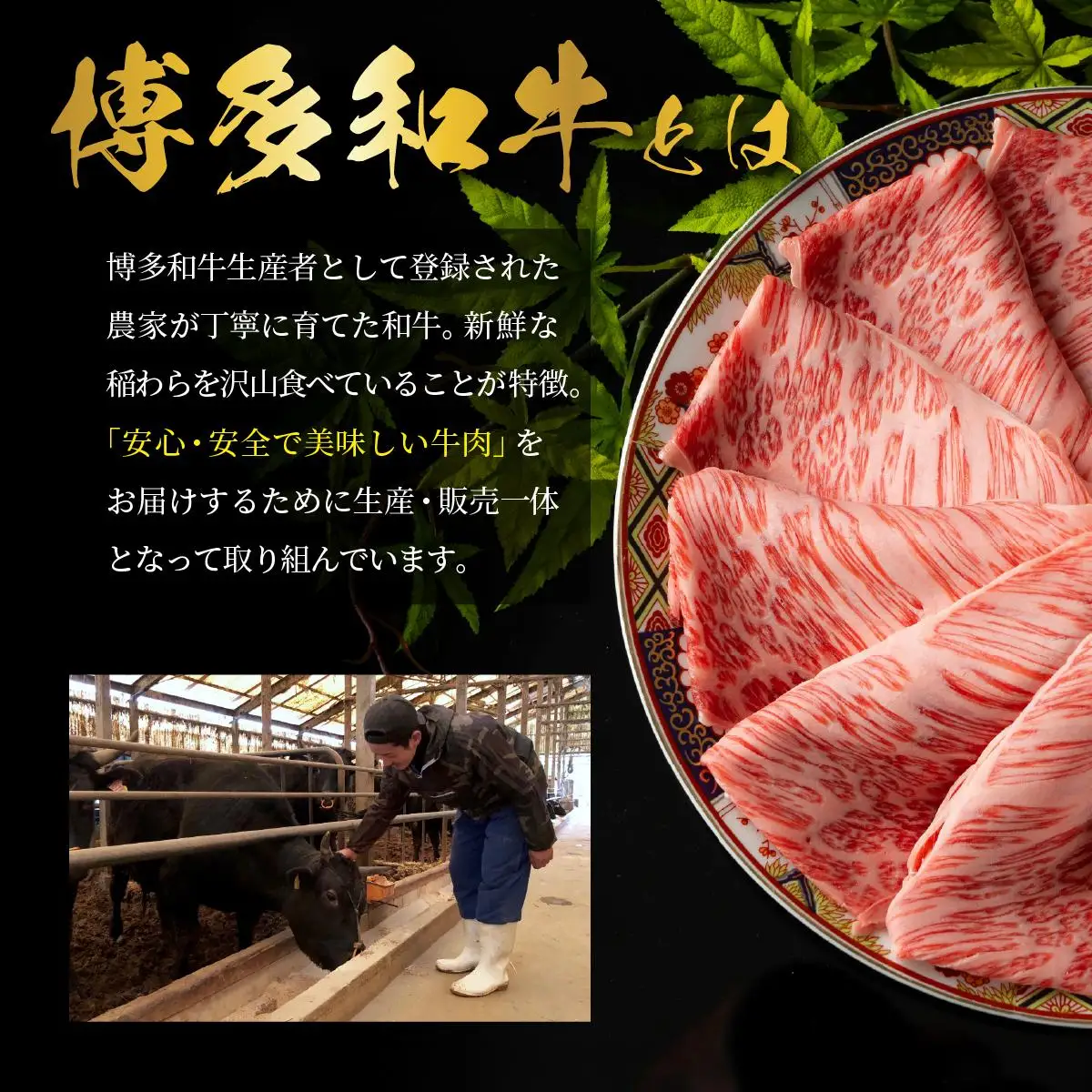博多和牛 贅沢しゃぶしゃぶ・すき焼きセット