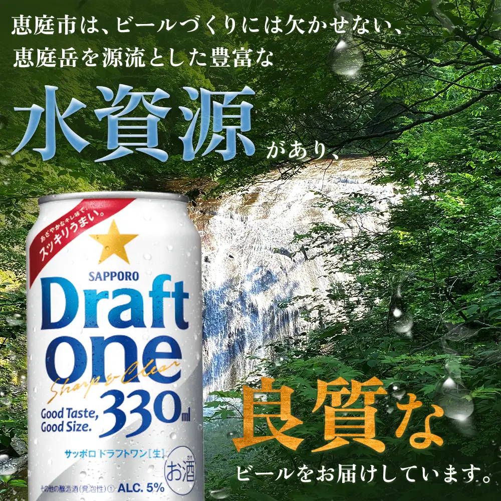 『定期便：全5回』ドラフトワン 330ml×24本【880090061905】