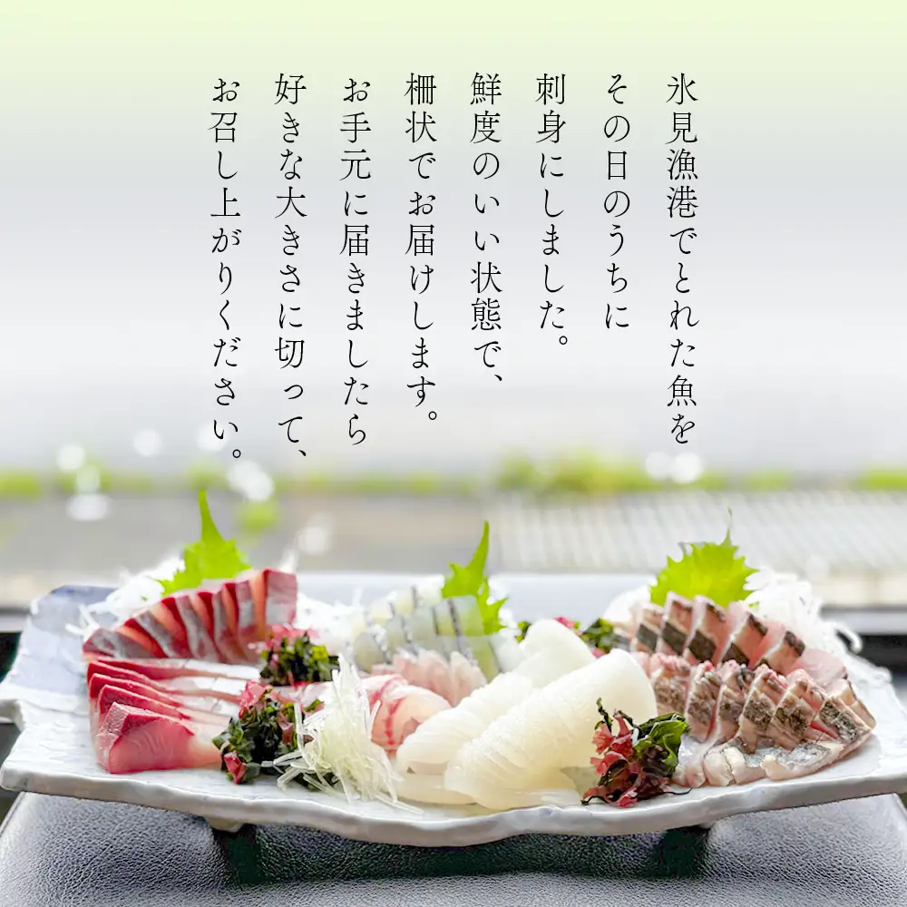 【6回定期便 / 隔月お届け】 刺身詰め合わせ （柵） 2-3人前 （3種類）〈冷蔵〉  釣屋魚問屋直営 ひみ岸壁市場